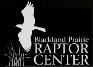 Blackland Prairie Raptor Center