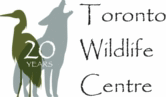 Toronto Wildlife Center